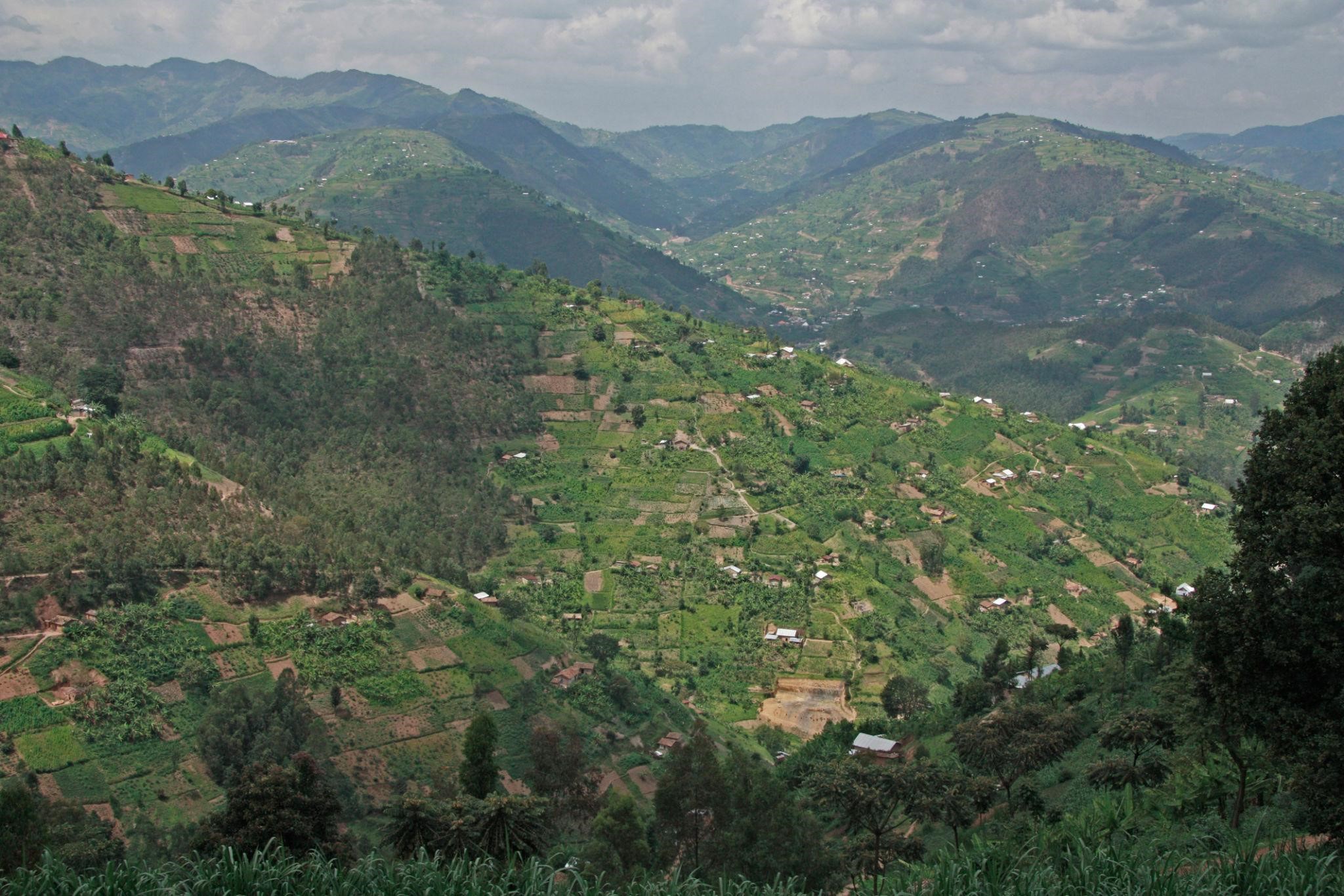 10 Days Uganda & Rwanda Safari – Gorilla Trekking & Wildlife Tour