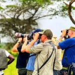 Photographer’s Guide to Capturing Mountain Gorillas