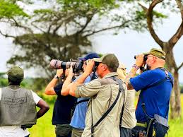 Photographer’s Guide to Capturing Mountain Gorillas