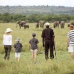The Best Family-Friendly Safaris in Uganda
