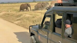 Uganda Safari Packing List