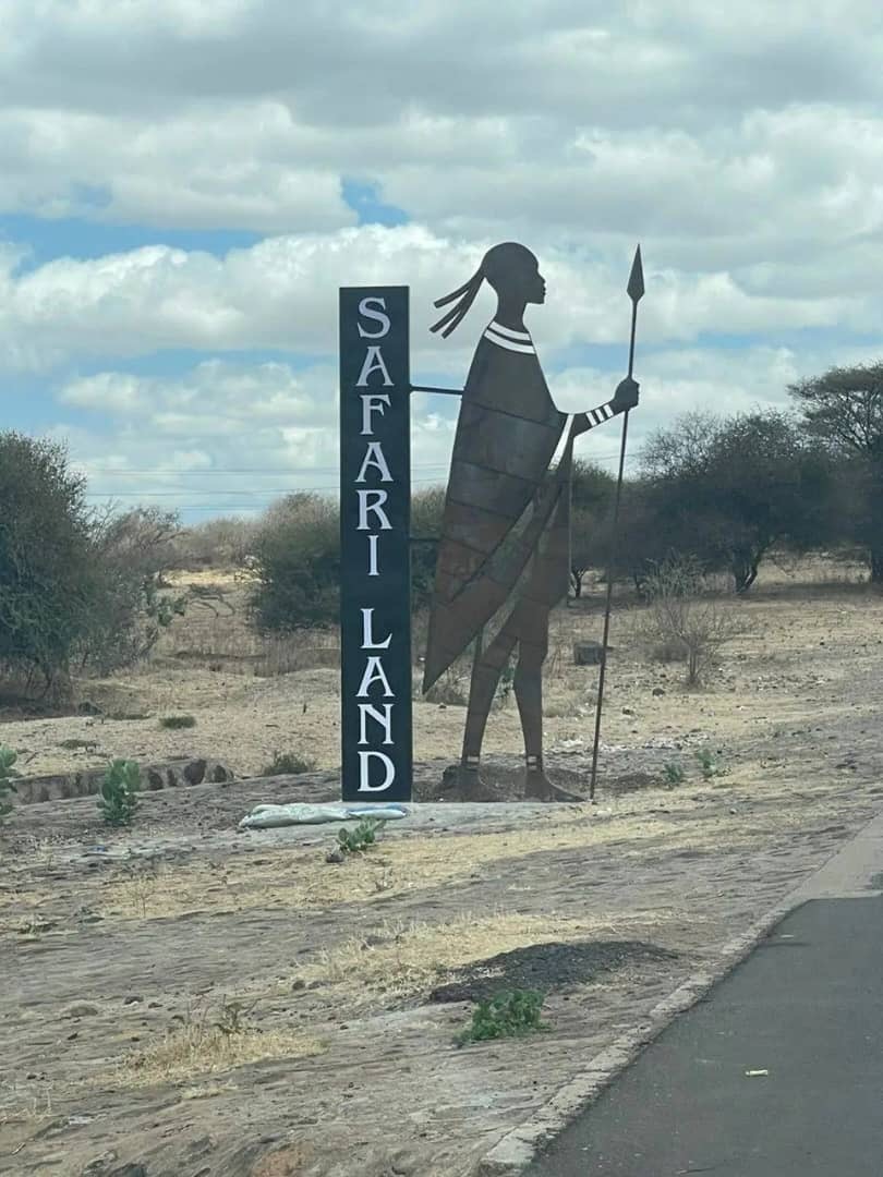  Kenya Safari Experience