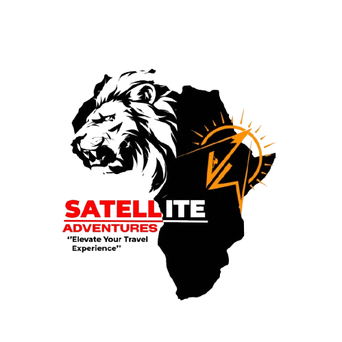 SATTILITES-01-removebg-preview