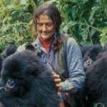Who was Dian Fossey?