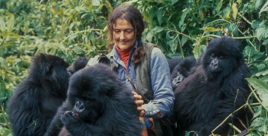 Who was Dian Fossey?