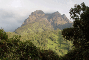Rwenzori Mountains
