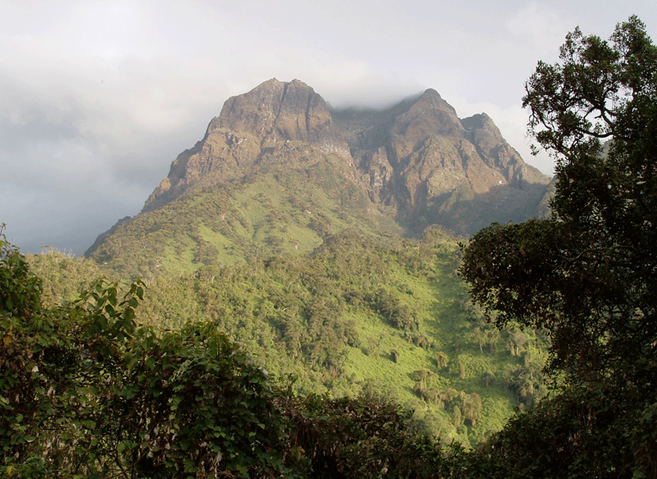 Rwenzori Mountains
